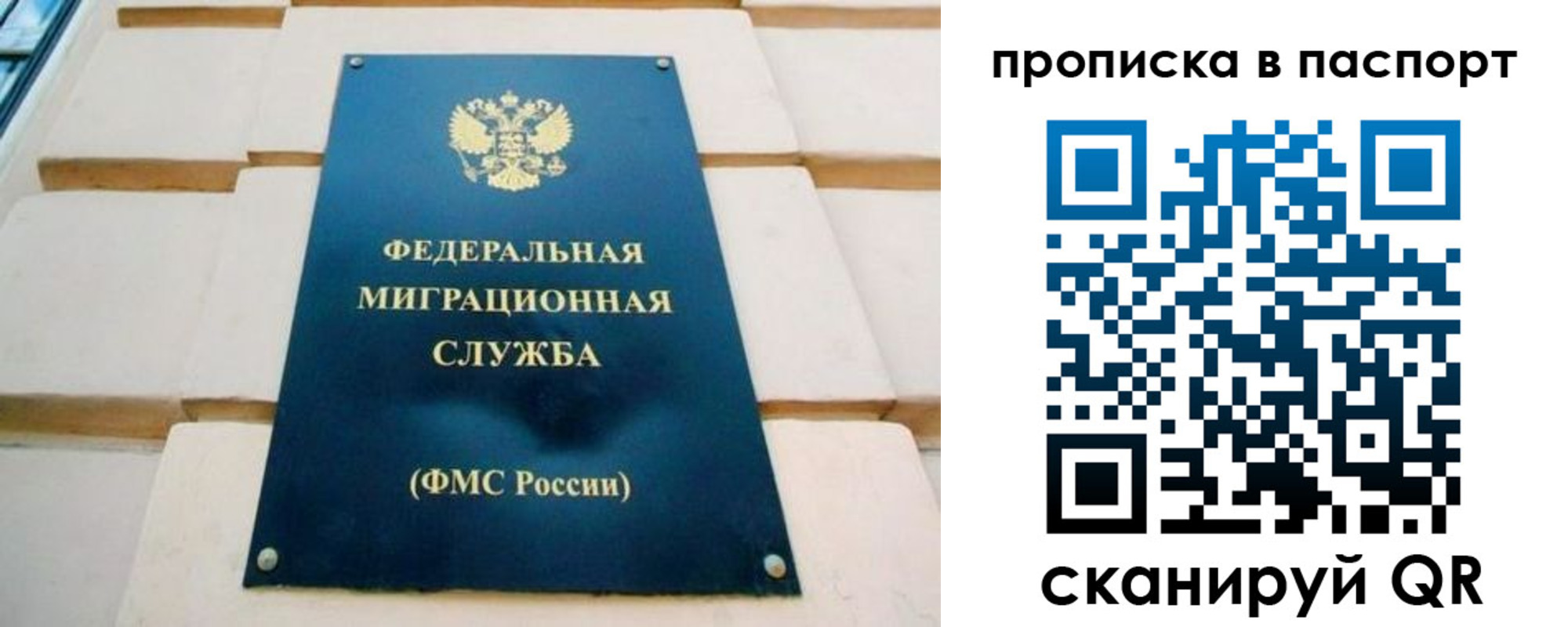 временная регистрация гарантия в Жуковском